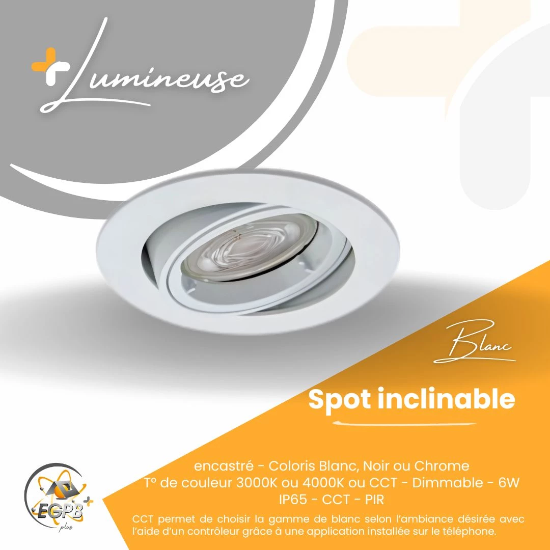 +Lumineuse - Spot Inclinable - RE2020 - EGPB+