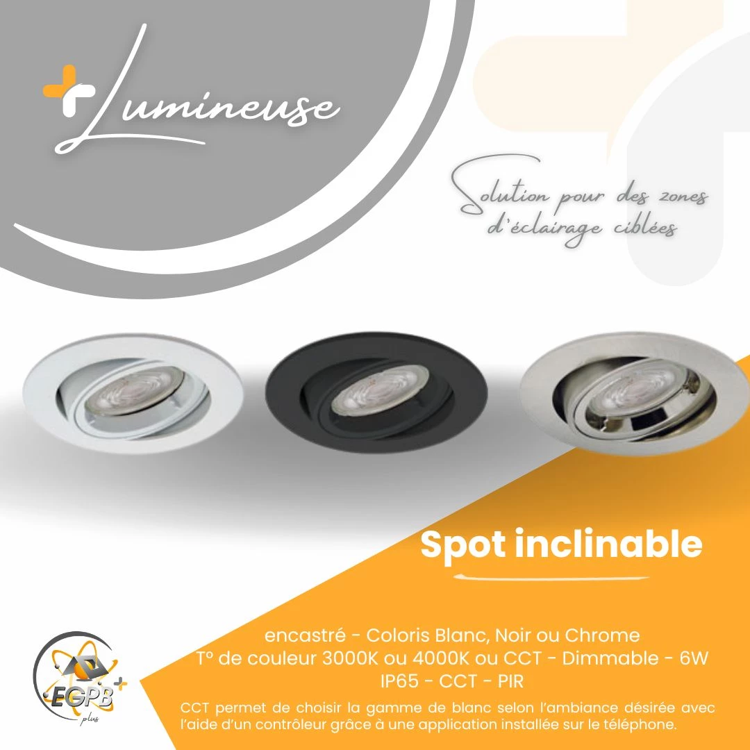 +Lumineuse - Spot Inclinable - RE2020 - EGPB+