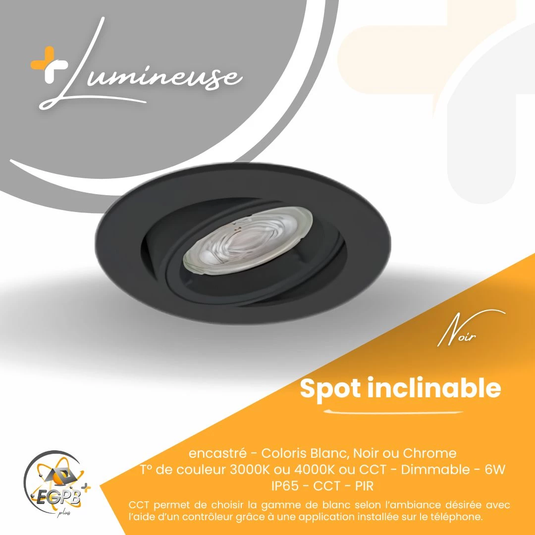+Lumineuse - Spot Inclinable - RE2020 - EGPB+