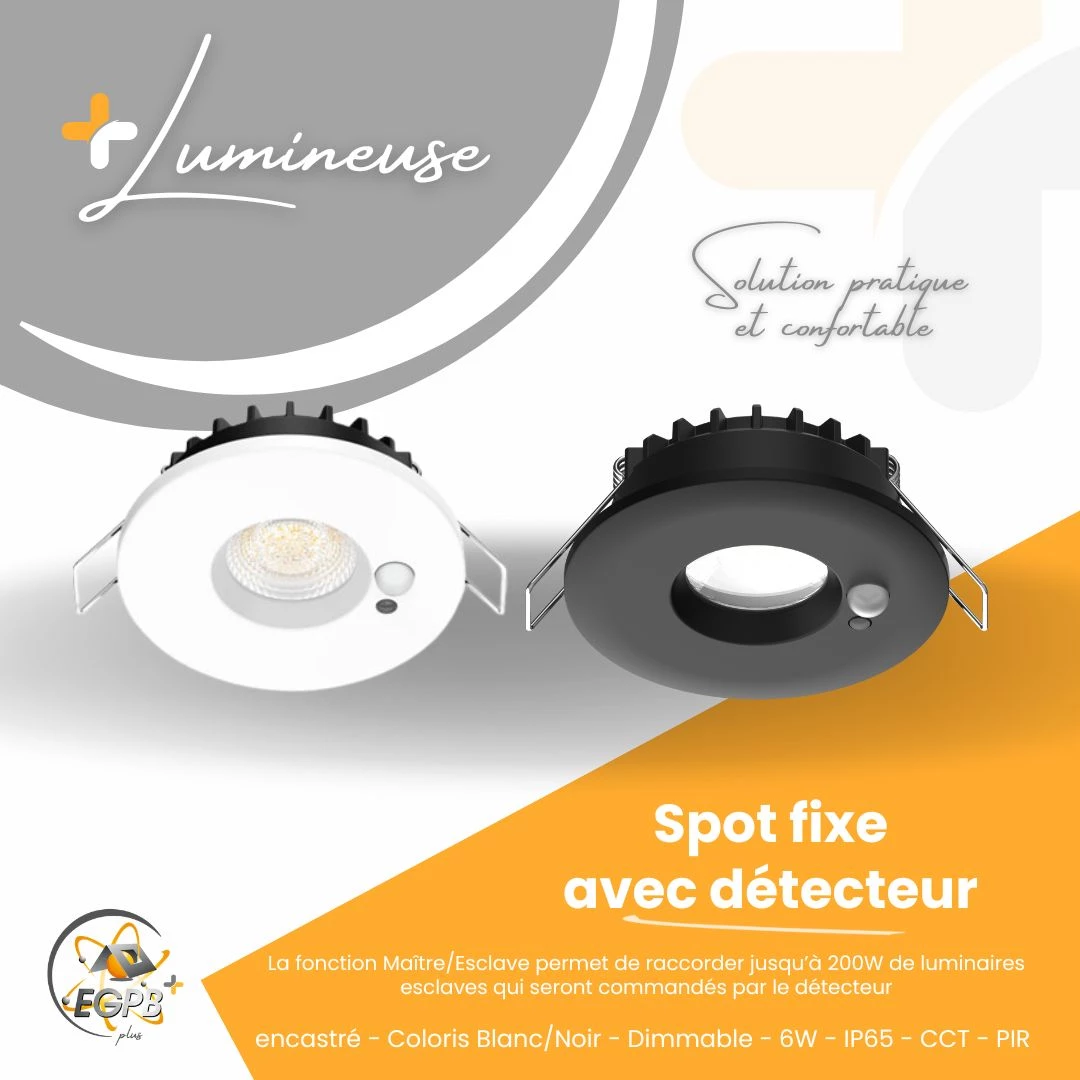 +Lumineuse - Spot Fixe - Détecteur - CCT - RE2020 - EGPB+