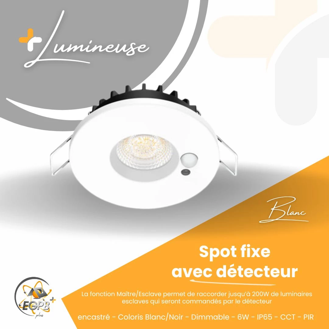 +Lumineuse - Spot Fixe - Détecteur - CCT - RE2020 - EGPB+