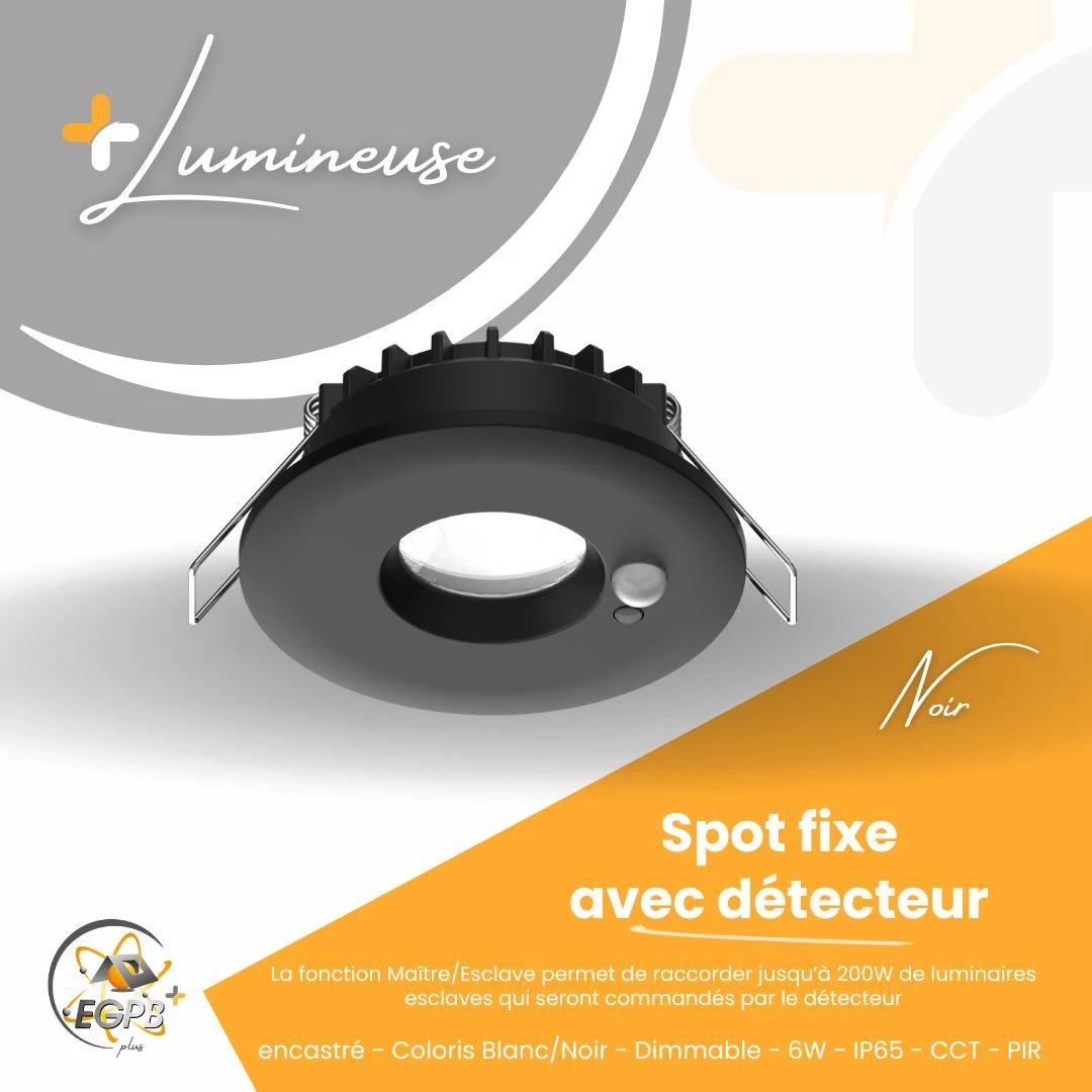 +Lumineuse - Spot Fixe - Détecteur - CCT - RE2020 - EGPB+
