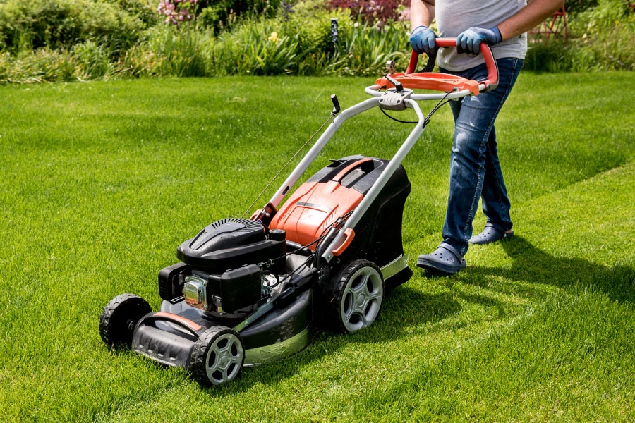 Tonte de pelouse