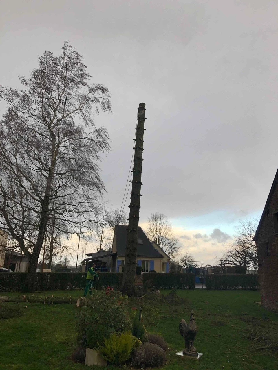 Élagage et abattage