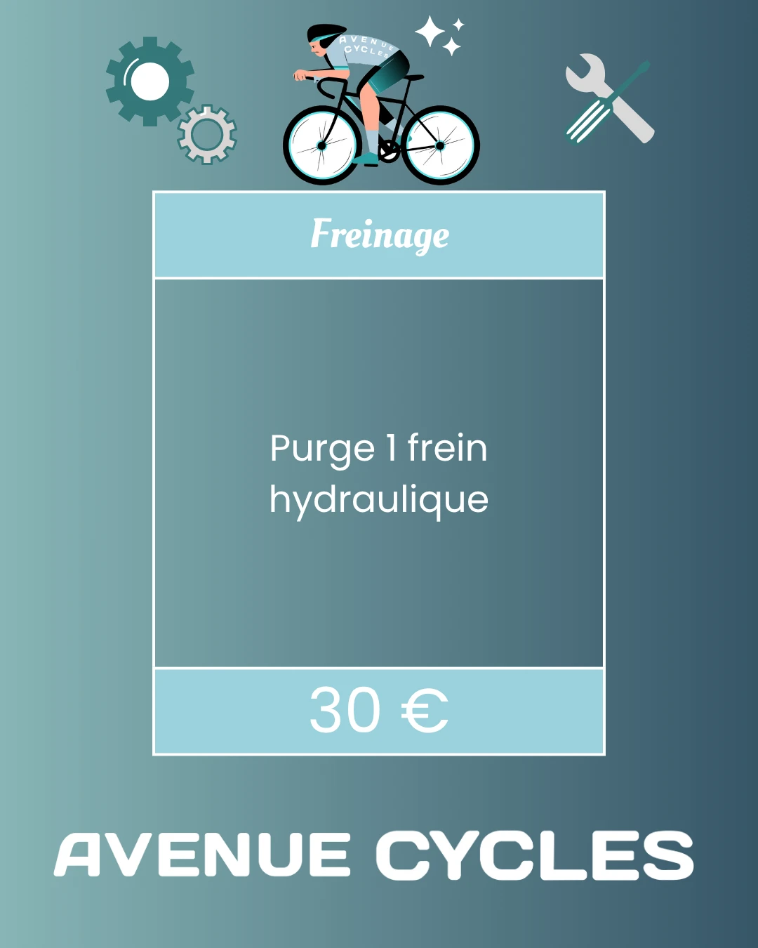 Purge 1 frein hydraulique