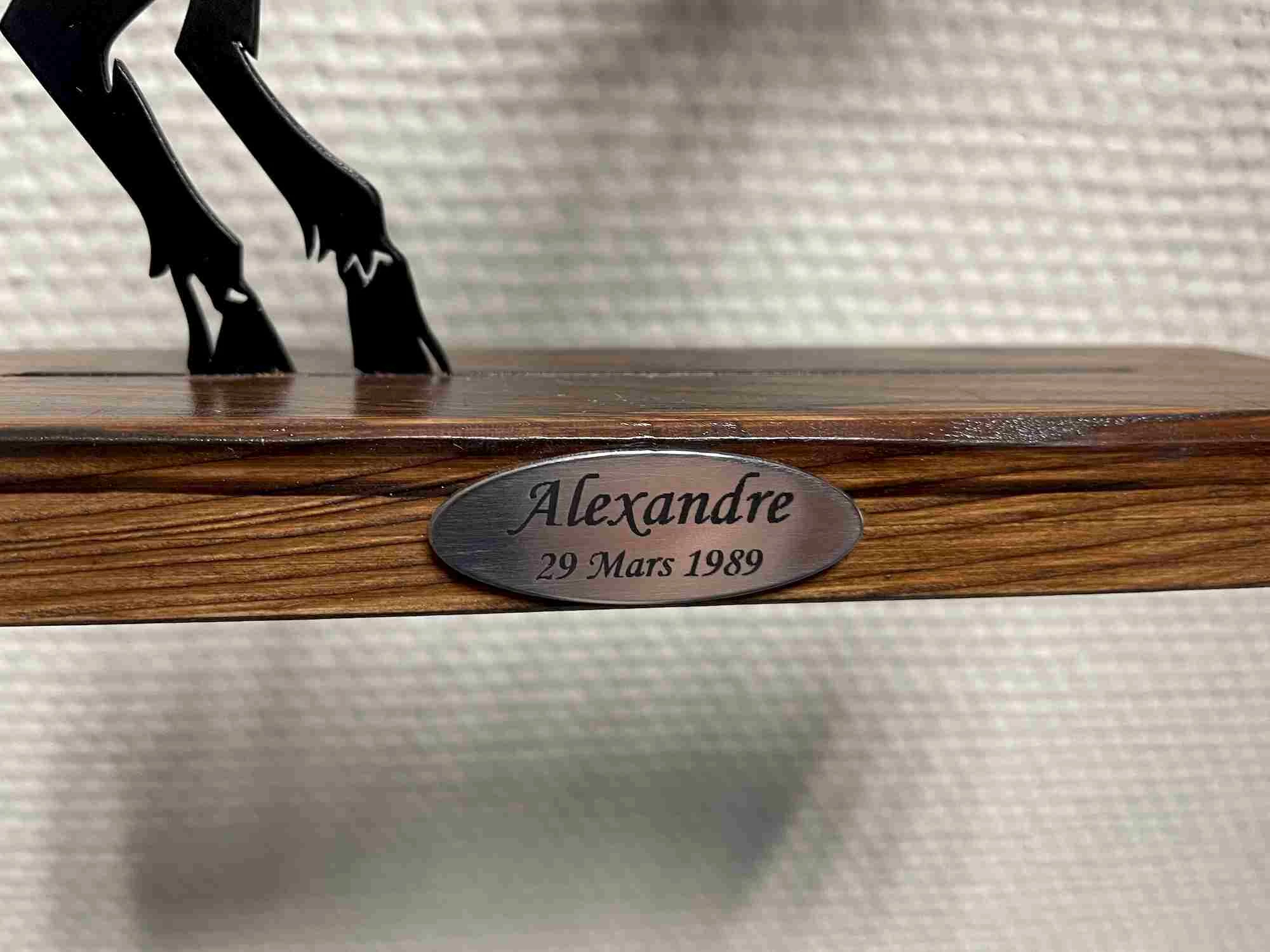 Motif signe astrologique