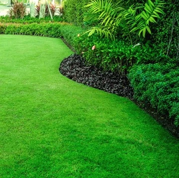 Cuve de Récupération des Eaux de Pluie