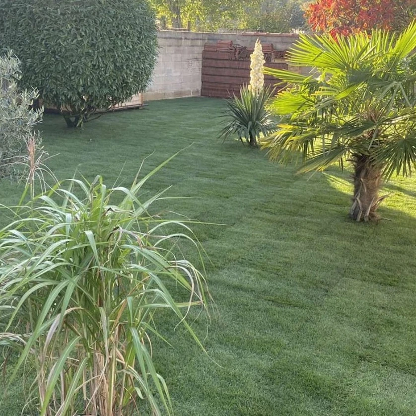 Scarification/Engazonnement