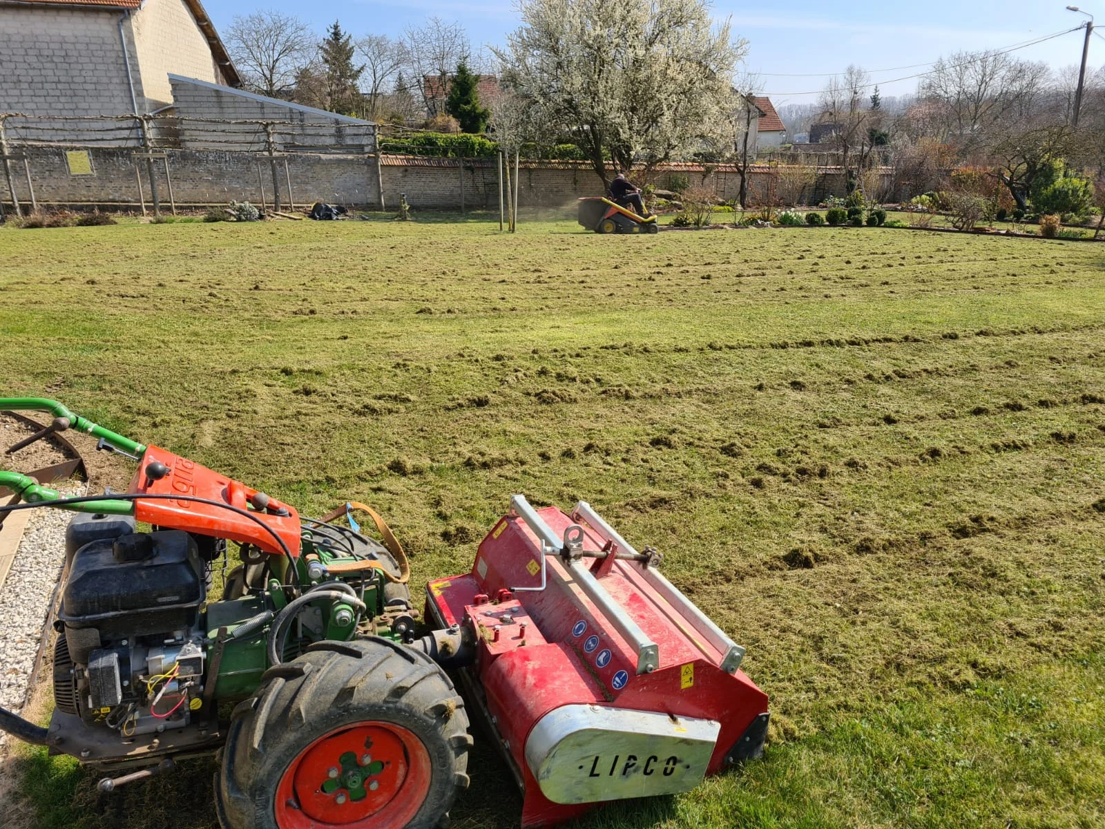 Scarification/Engazonnement