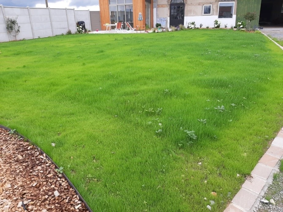 Tonte de Gazon MULCHING