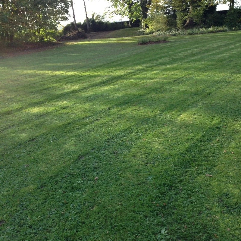 Tonte de Gazon MULCHING