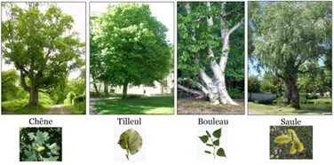 La Biodiversité Communale