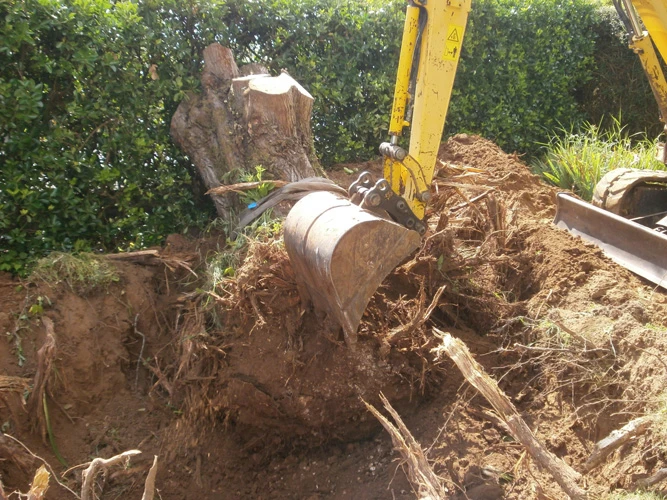 Dessouchage et préparation de terrain pour particuliers et professionnels dans l'Aisne et en Nord Picardie