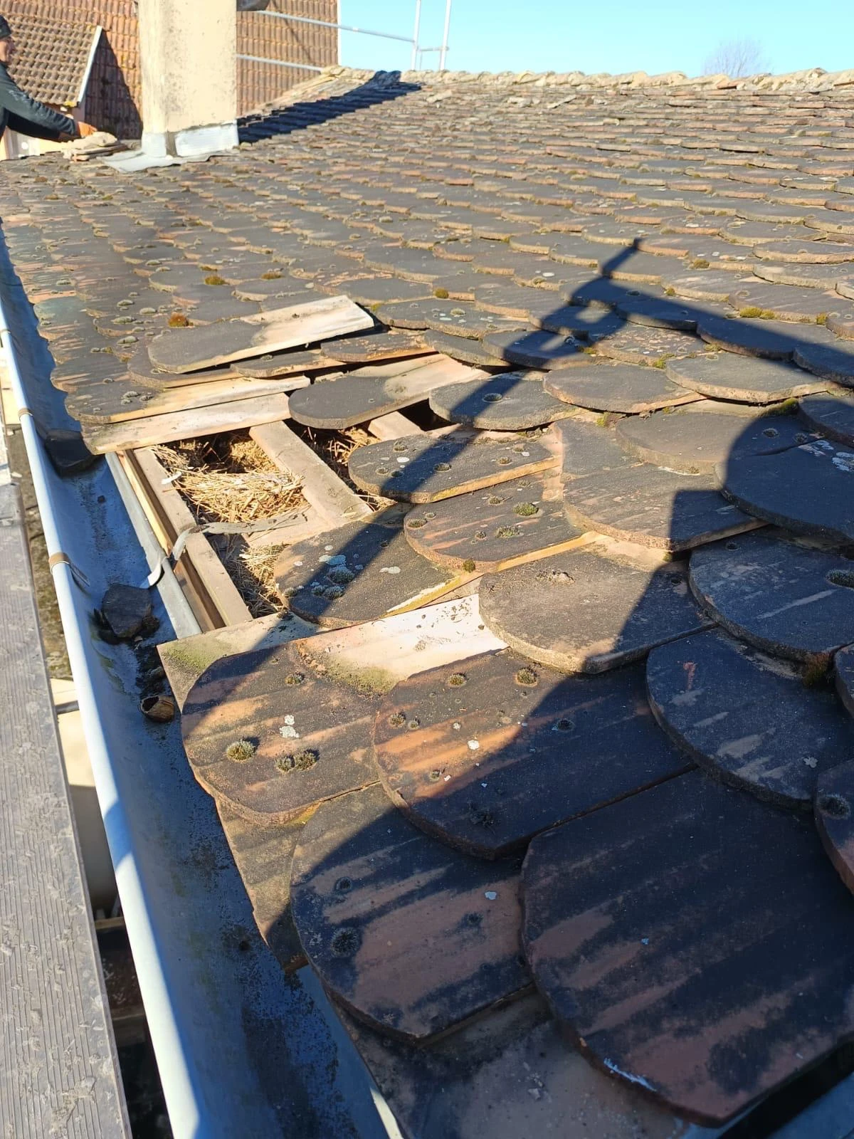 CHANTIER COUVERTURE DEPENDANCE RIEDSELTZ, WISSEMBOURG, HOLSCHTEN, LEMBACH