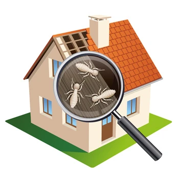 Diagnostic Parasitaire et Termites – Aisne Marne Oise et Île-de-France