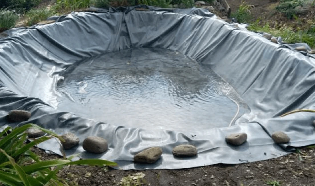 57955 BACHE EPDM OaseFol 1,0 mm – Robuste en caoutchouc respectueux de l’environnement