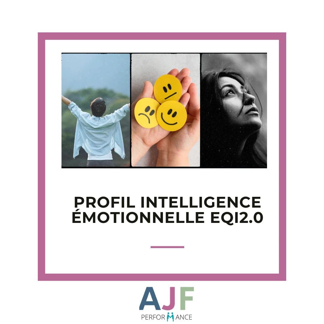 Profil intelligence émotionnelle EQI2.0