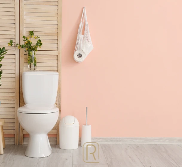 Rénovation complète de WC