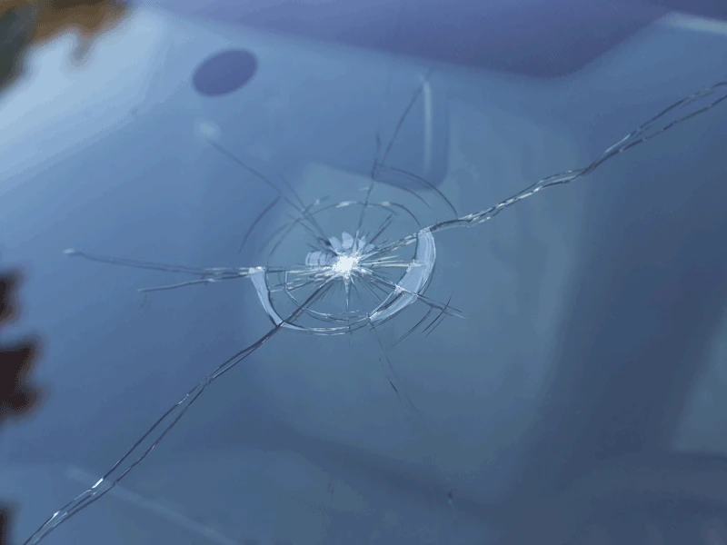 IMPACT offert Pour les pro!