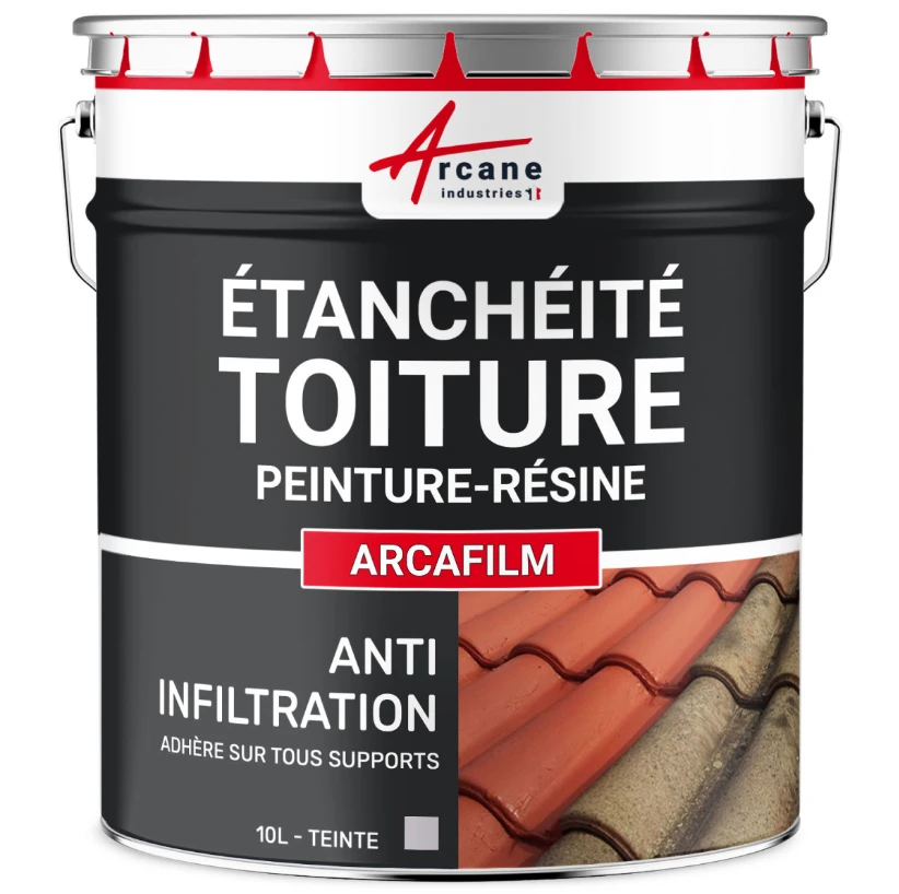 peinture étanchéité  pour toiture  a partir de 39 euros /m2