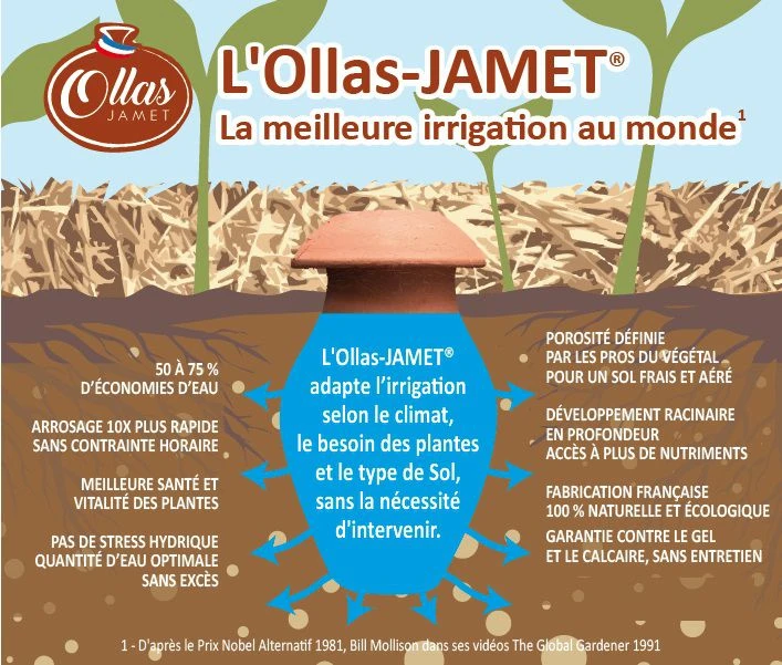 Ollas Jamet origin O3