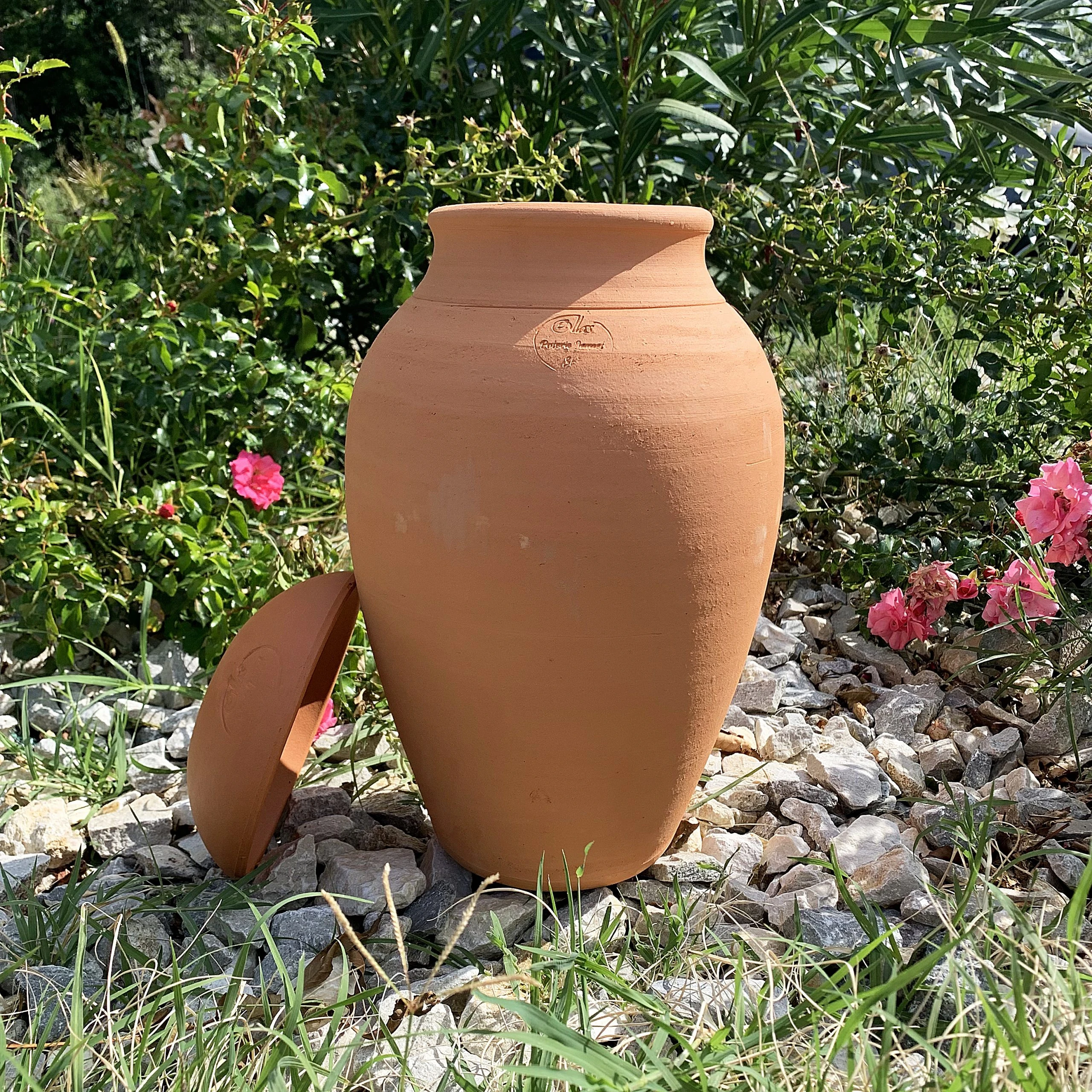 Ollas Jamet origin O3