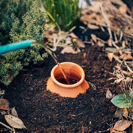 Ollas Jamet origin O5