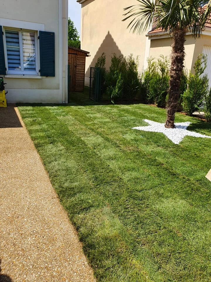 Plantations paysagères pour particuliers, professionnels et collectivités – PRO PAYSAGE