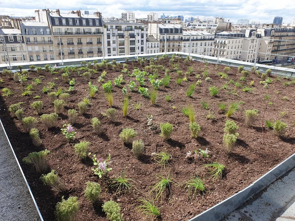 Plantations paysagères pour particuliers, professionnels et collectivités – PRO PAYSAGE