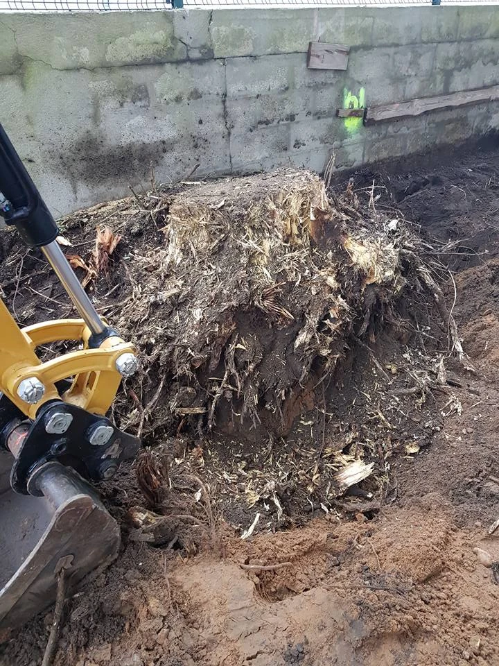 Dessouchage pour particuliers, professionnels et collectivités – PRO PAYSAGE