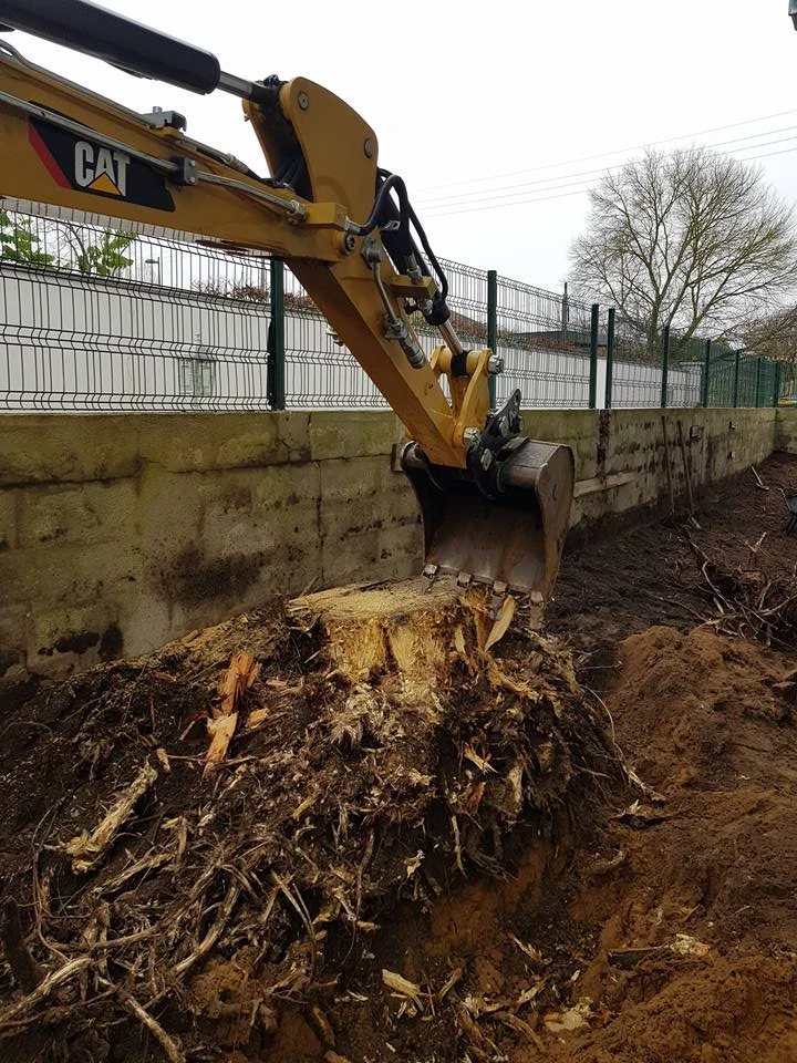 Dessouchage pour particuliers, professionnels et collectivités – PRO PAYSAGE