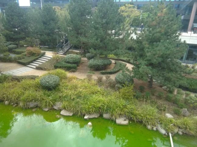 Création d’aménagements paysagers et massifs pour particuliers, professionnels et collectivités – PRO PAYSAGE