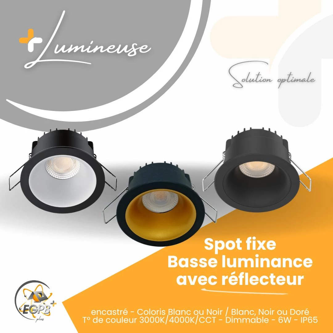 +Lumineuse - Spot Fixe Basse Luminance avec Réflecteur - Collerette noire - RE2020 - EGPB+