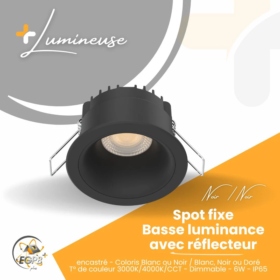 +Lumineuse - Spot Fixe Basse Luminance avec Réflecteur - Collerette noire - RE2020 - EGPB+