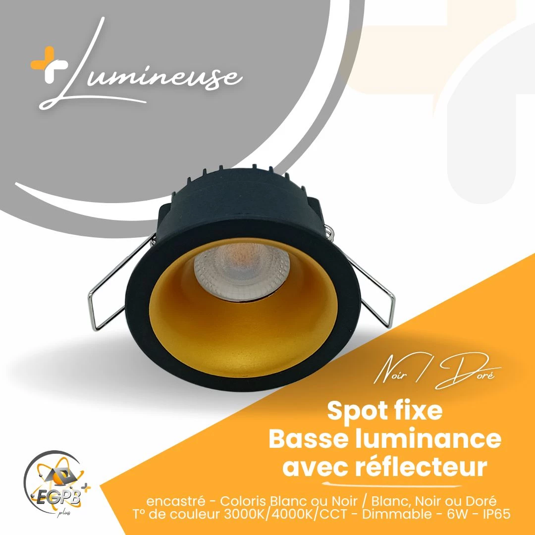 +Lumineuse - Spot Fixe Basse Luminance avec Réflecteur - Collerette noire - RE2020 - EGPB+