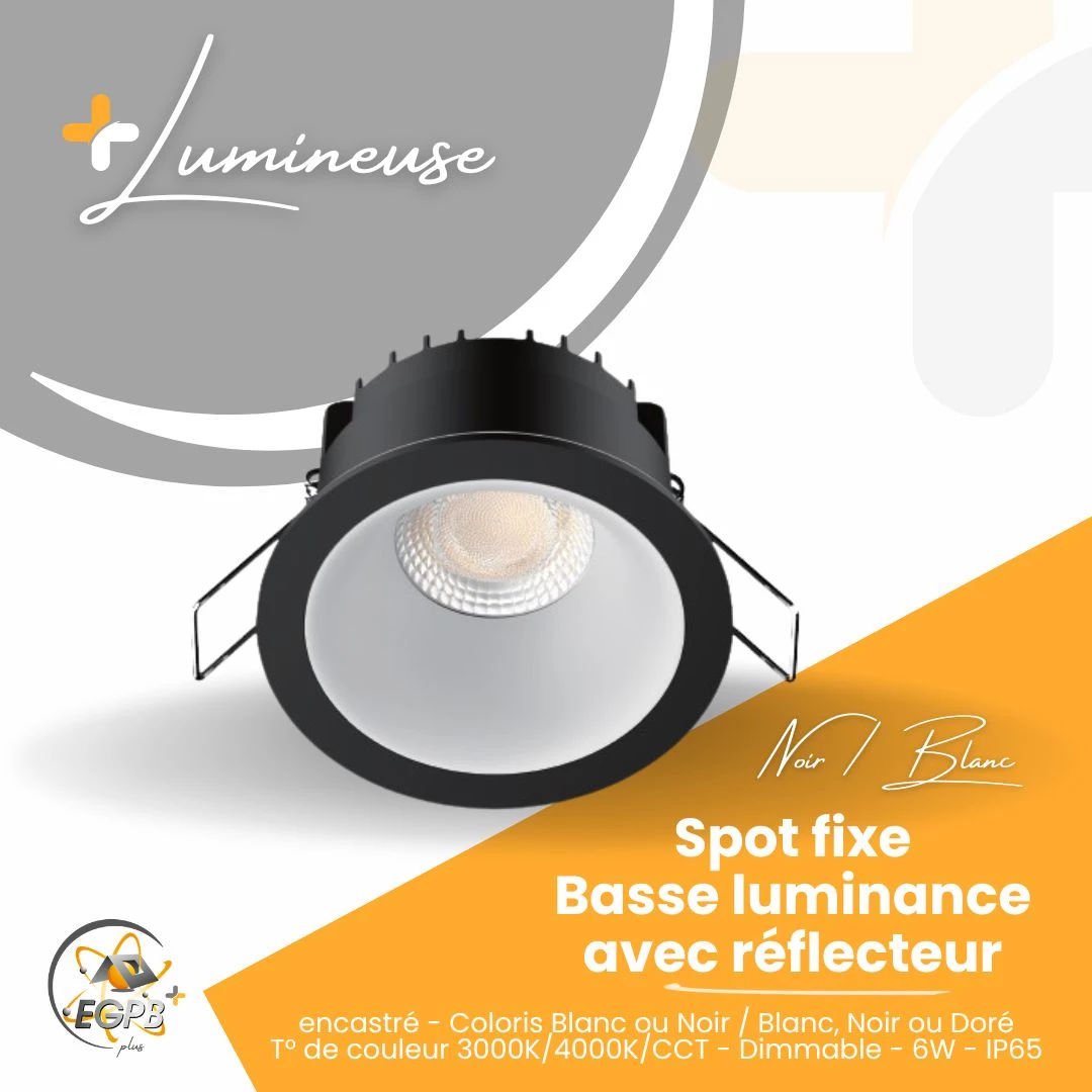 +Lumineuse - Spot Fixe Basse Luminance avec Réflecteur - Collerette noire - RE2020 - EGPB+
