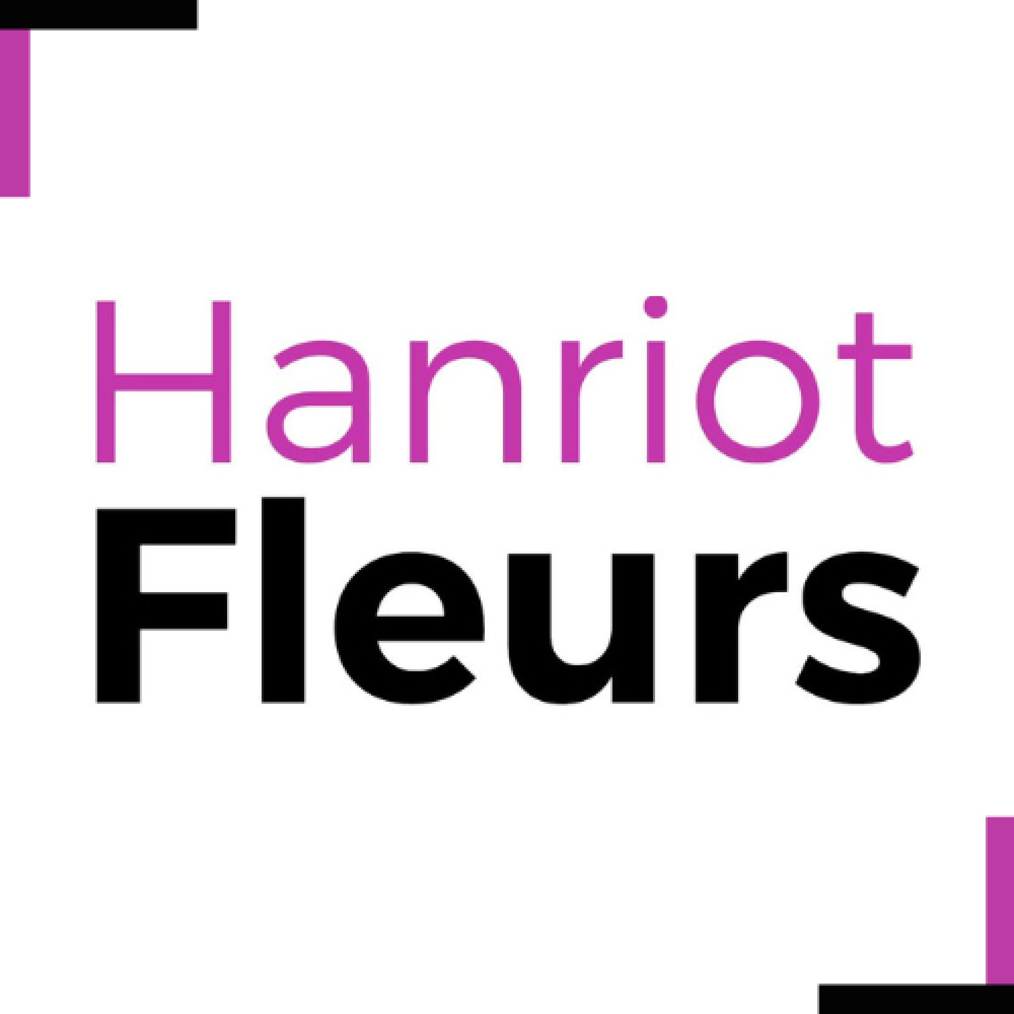 Arbuste à fleurs - COGNASSIER DU JAPON