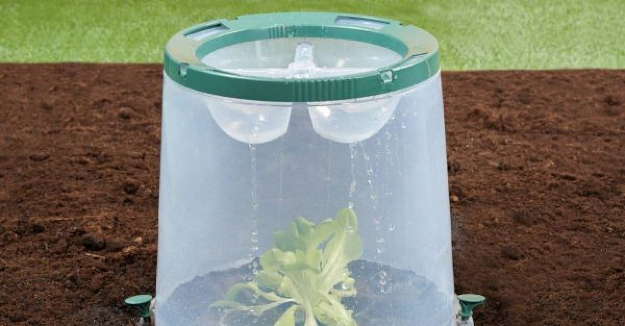 Cloche de culture Sunny