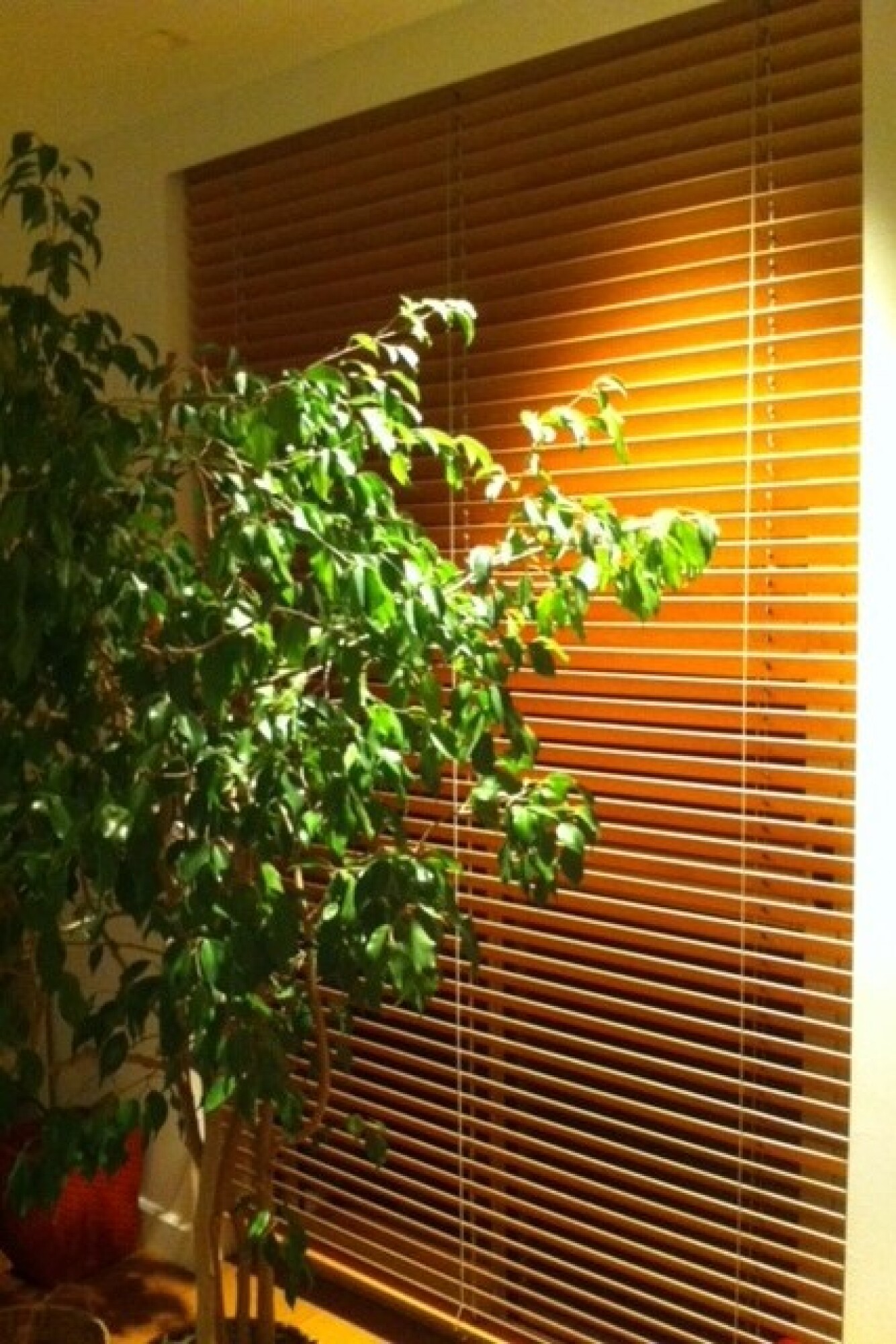 Installation store intérieur vénitien sur mesure