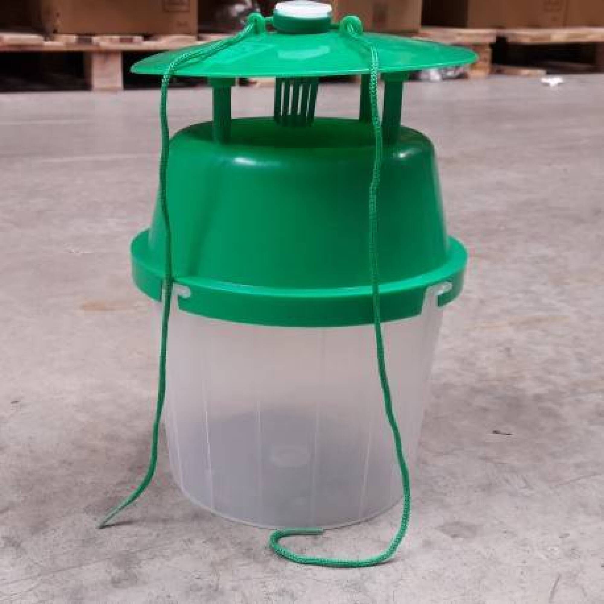 Nichoirs à mésange contre la chenille processionnaire du pin dans les jardins du Var