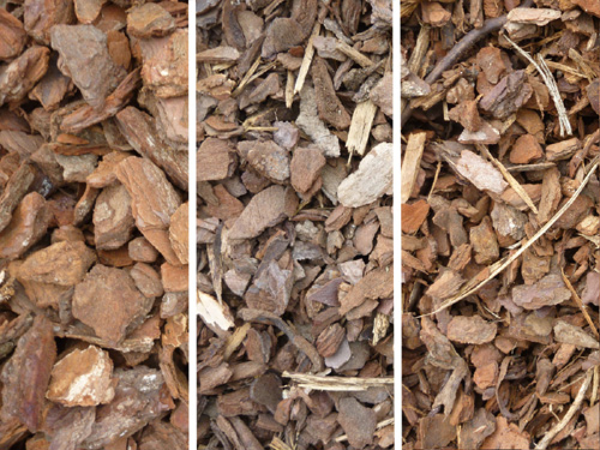 Paillage : écorces de pin maritime (calibre 20/40)