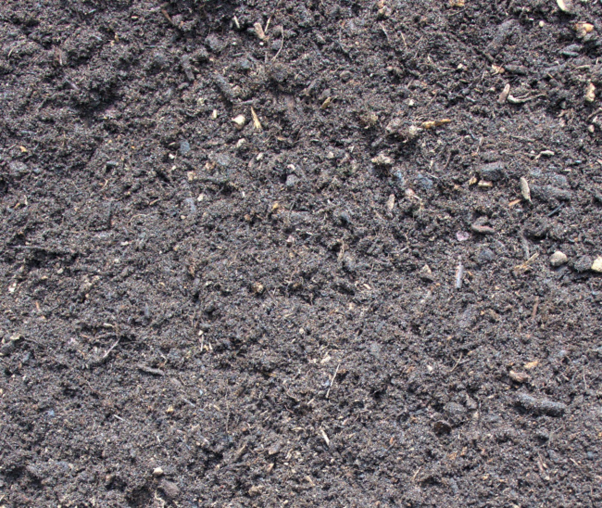 Support de culture : terre dite de bruyère