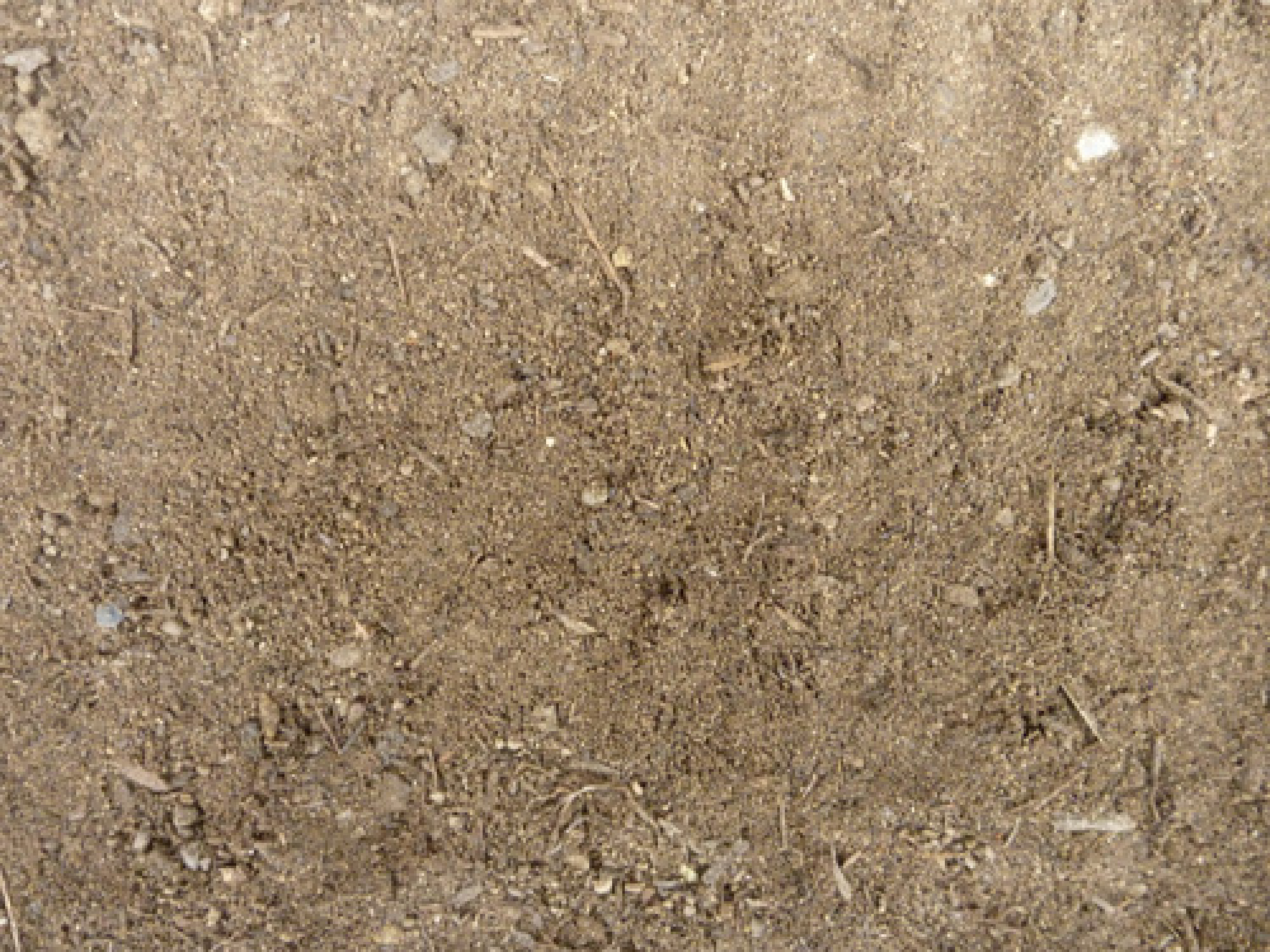 Support de culture : terre végétale