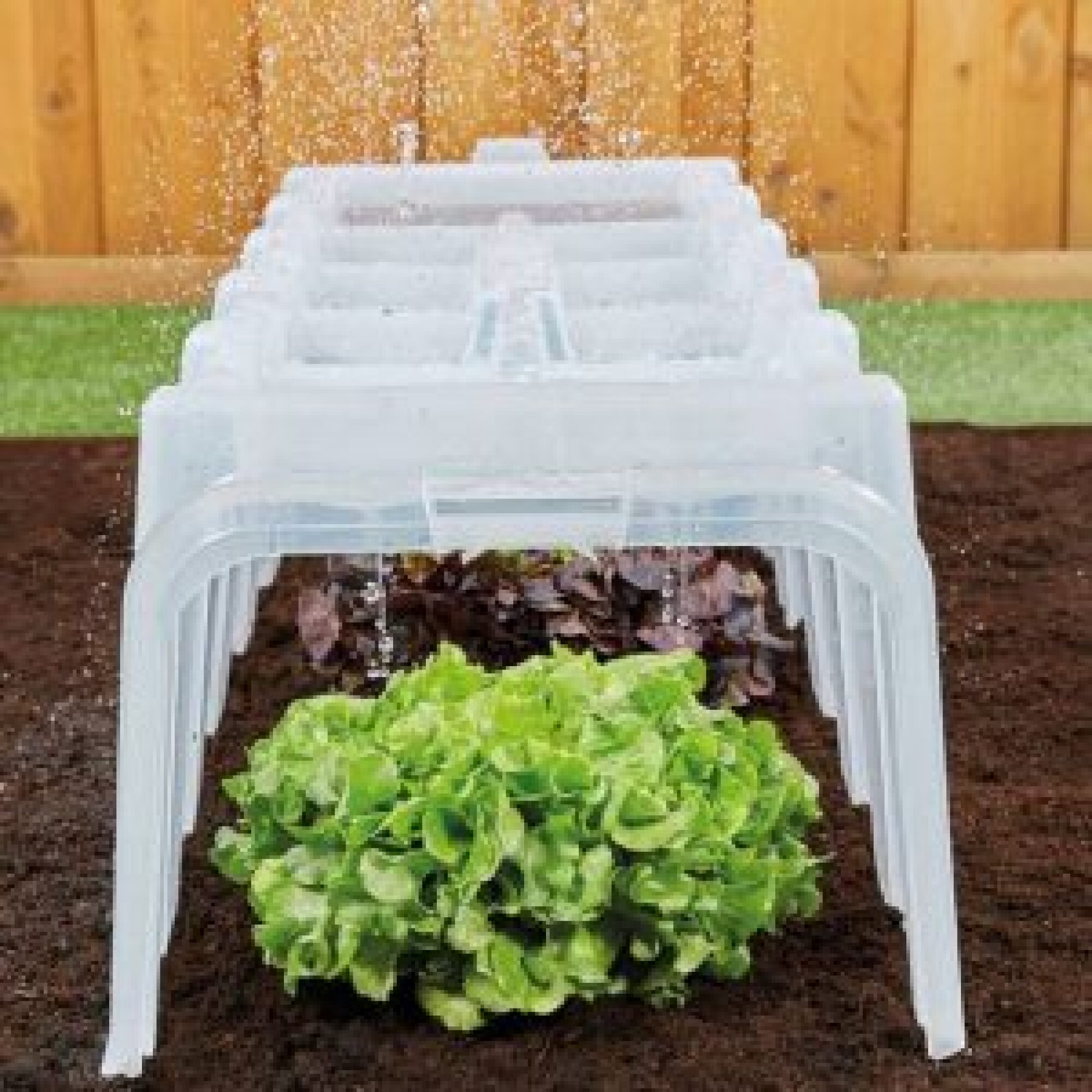 Tunnel de culture Sunny