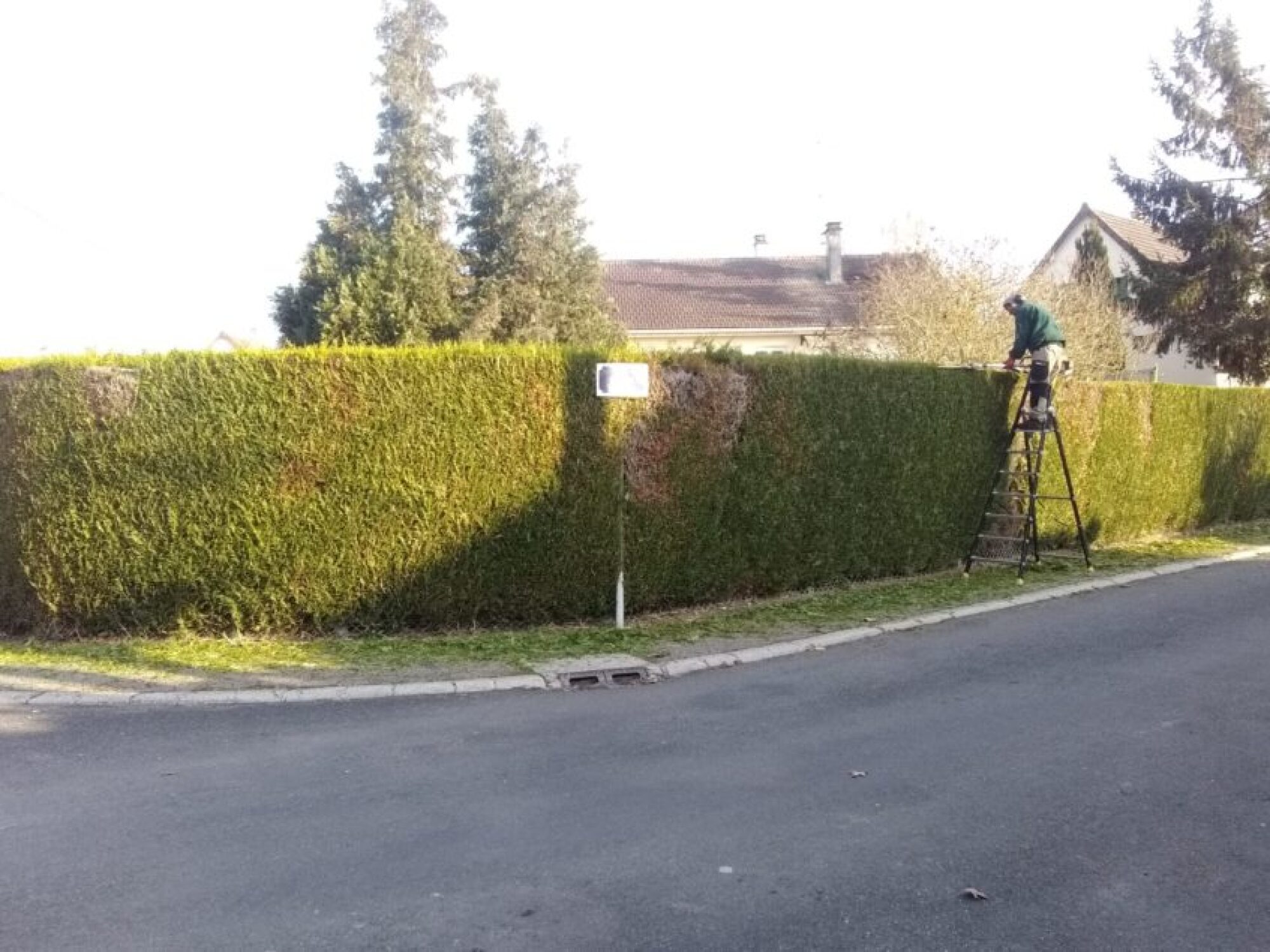 Entretien parc et jardin particulier