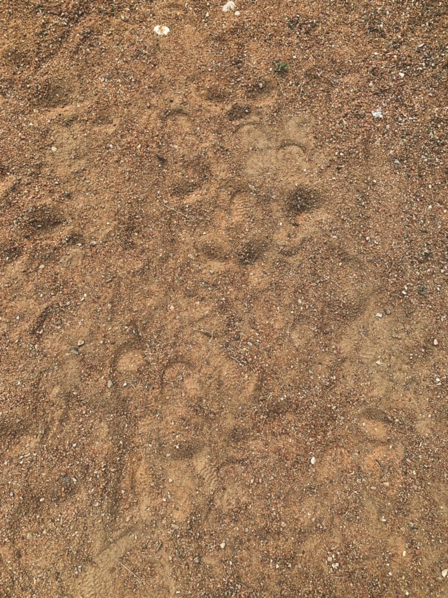 Etude de sol pour assainissement