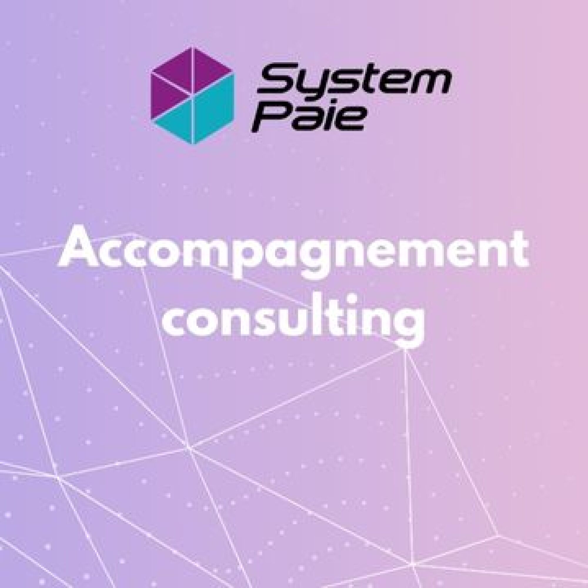 Accompagnement consulting