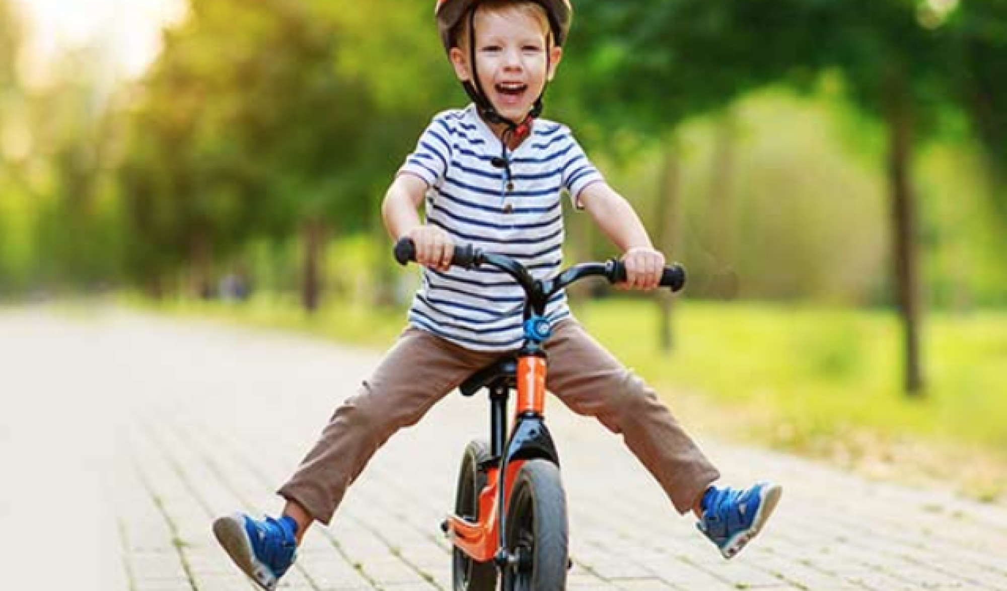 Abeille protection accident