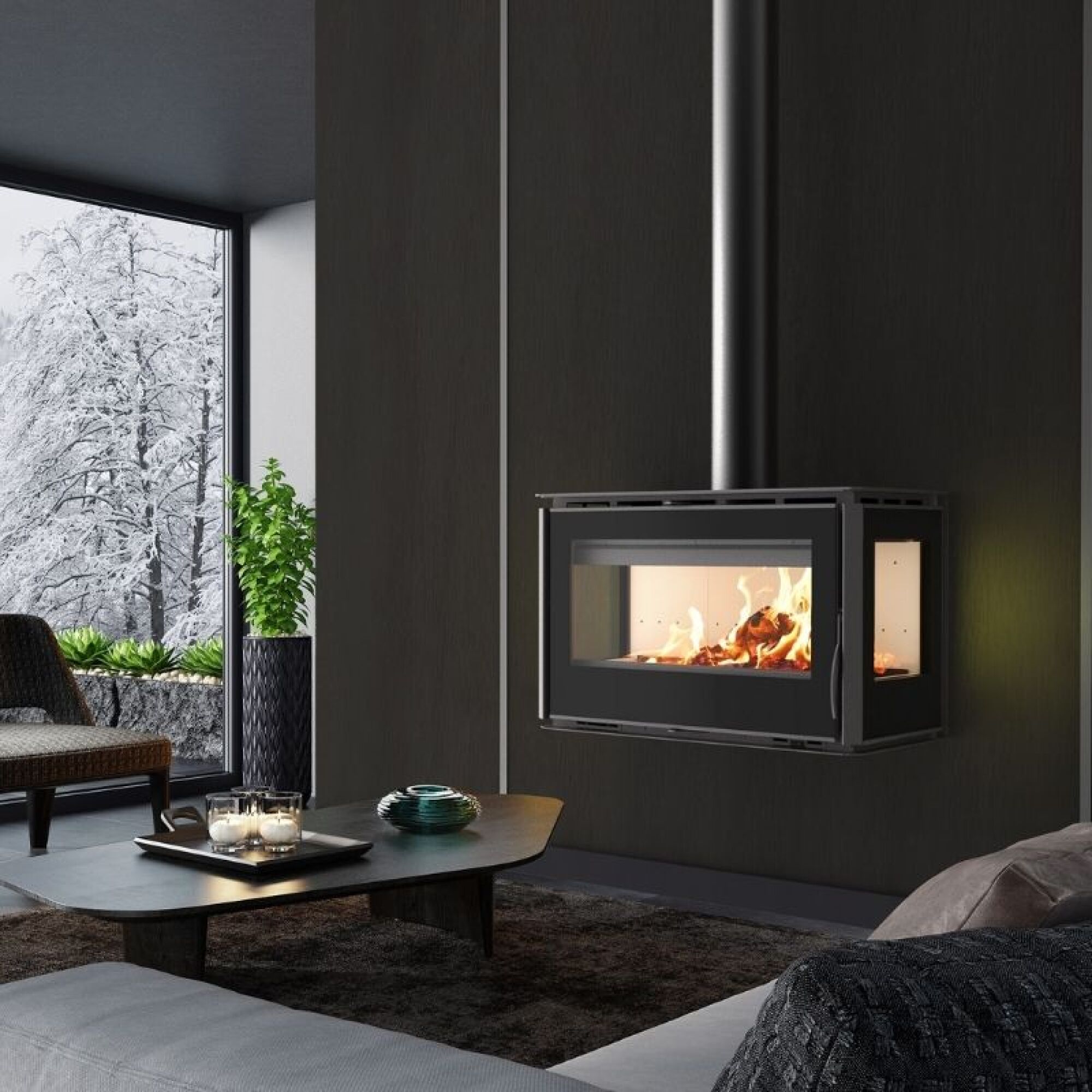 Poêle à bois – BRISACH VARIO CONCEPT WOODEN BOARD