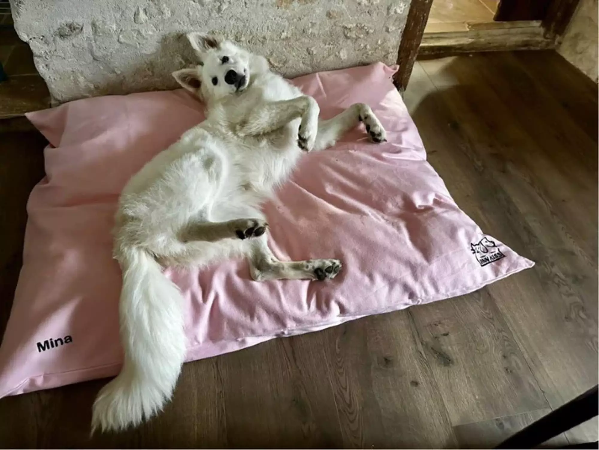 Coussin Pouf Jinnkiss